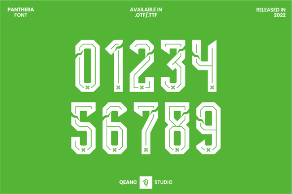 Panthera: A Modern Font for Sports and Racing