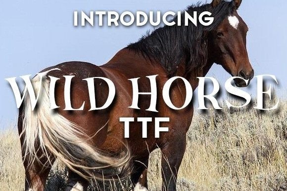 Wild Horse: A Versatile Cartoonish Display Font for Creative Projects